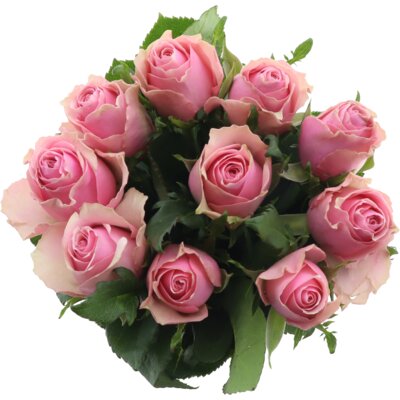 pdp-image-AH Roos roze