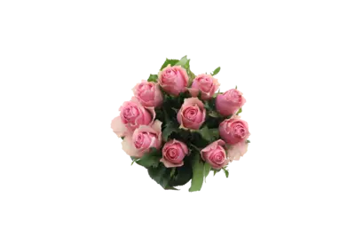 pdp-image-AH Roos roze
