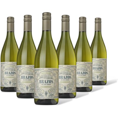 pdp-image-Zuccardi Brazos Chardonnay 6 flessen