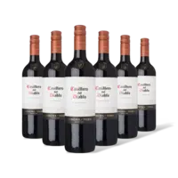 Casillero del Diablo Carménère reserva 6 flessen