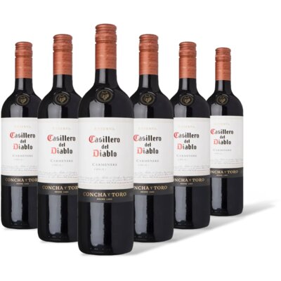 pdp-image-Casillero del Diablo Carménère reserva 6 flessen