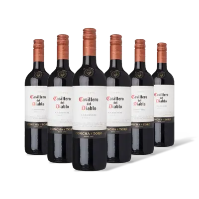 pdp-image-Casillero del Diablo Carménère reserva 6 flessen