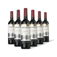 Trivento Malbec 6 flessen