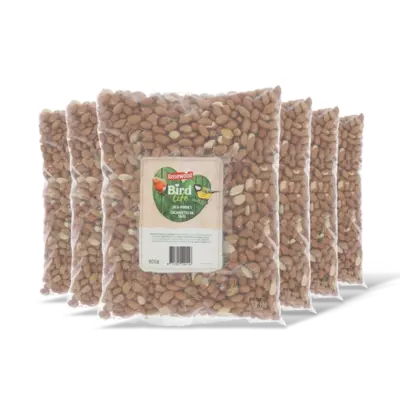 pdp-image-Rosewood Silo-pinda's 6-pack