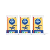 AH Goudse belegen 48+ plakken groot 3-pack