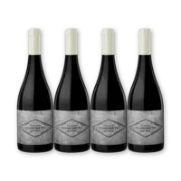 Zuccardi Concreto Malbec 4 flessen