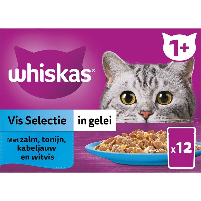 Een afbeelding van Whiskas 1+ Vis selectie in gelei