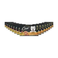 Cesar Hondenvoer nat primeur 15-pack