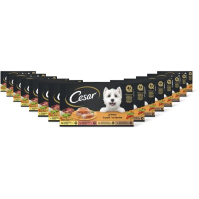 pdp-image-Cesar Hondenvoer nat primeur 15-pack