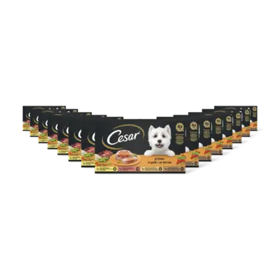 pdp-image-Cesar Hondenvoer nat primeur 15-pack