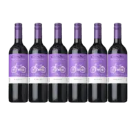 Cono Sur Bicicleta merlot 6 flessen