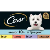 Cesar Hondenvoer senior 10+ jaar