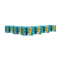 BrewDog Punk IPA 24-pack