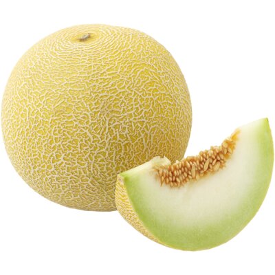 pdp-image-AH Galia meloen