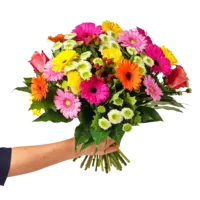 Boeket gezellige gerbera's