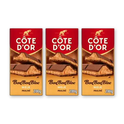 pdp-image-Côte d'Or BonBonBloc praliné melk 3-pack