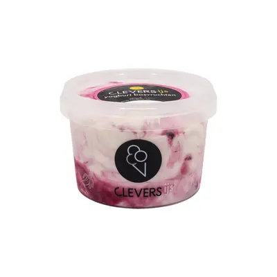 pdp-image-Clevers Yoghurt bosvruchten ijs
