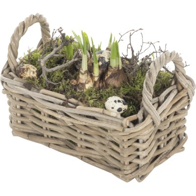 pdp-image-AH Arrangement kubu mand met narcis