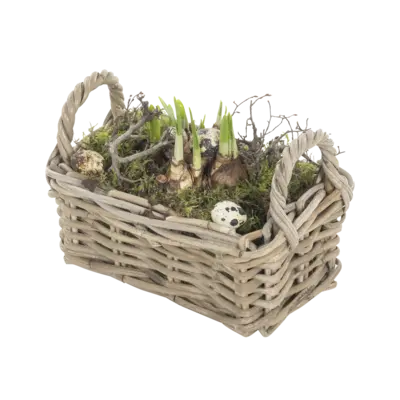 pdp-image-AH Arrangement kubu mand met narcis