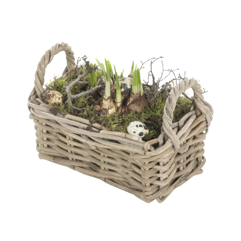 Arrangement kubu mand met narcis