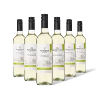 Norton Colección torrontés 6 flessen