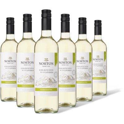 pdp-image-Norton Colección torrontés 6 flessen