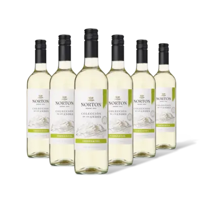 pdp-image-Norton Colección torrontés 6 flessen