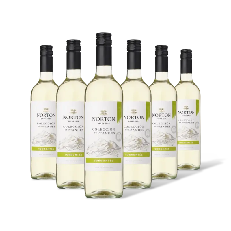 Norton Colección torrontés 6 flessen