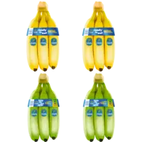Chiquita Groen & Geel mix 4-pakket
