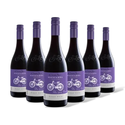 pdp-image-Cono Sur Bicicleta pinot noir 6 flessen