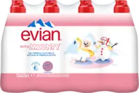 Evian Mineraalwater 12-pack