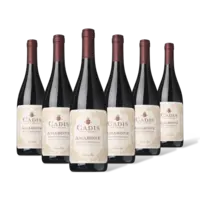 Cadis Amarone della valpolicella 6 flessen