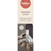 Een afbeelding van Bolsius Geurverspreider true scents oud wood