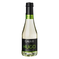 Galilei Hugo