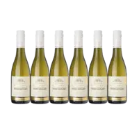 AH Excellent Selectie grüner veltliner kamptal 6-pack