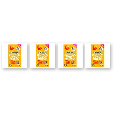 pdp-image-Holie's Crunchy muesli protein peanut 4-pack