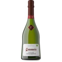 Een afbeelding van Codorníu Seleccion raventos brut