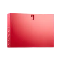 Gucci Rush