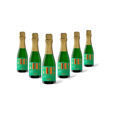 pdp-image-Hola! Barcelona Brut Cava 6 flessen