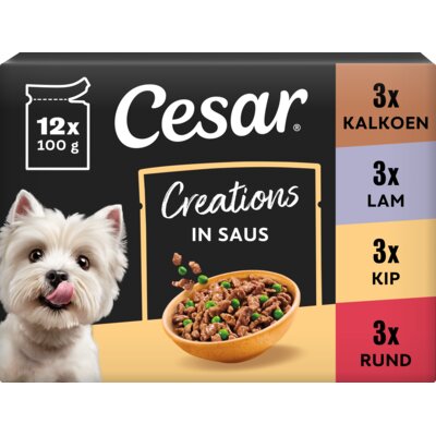 pdp-image-Cesar Creations in saus