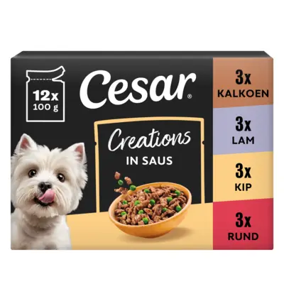 pdp-image-Cesar Creations in saus