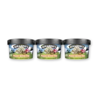 Ben & Jerry's Peanut butter cup 3-pack