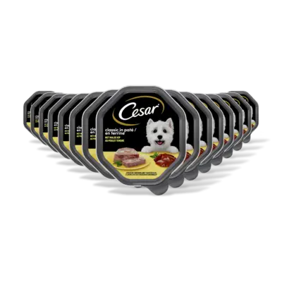 pdp-image-Cesar Classic met kip 15-pack