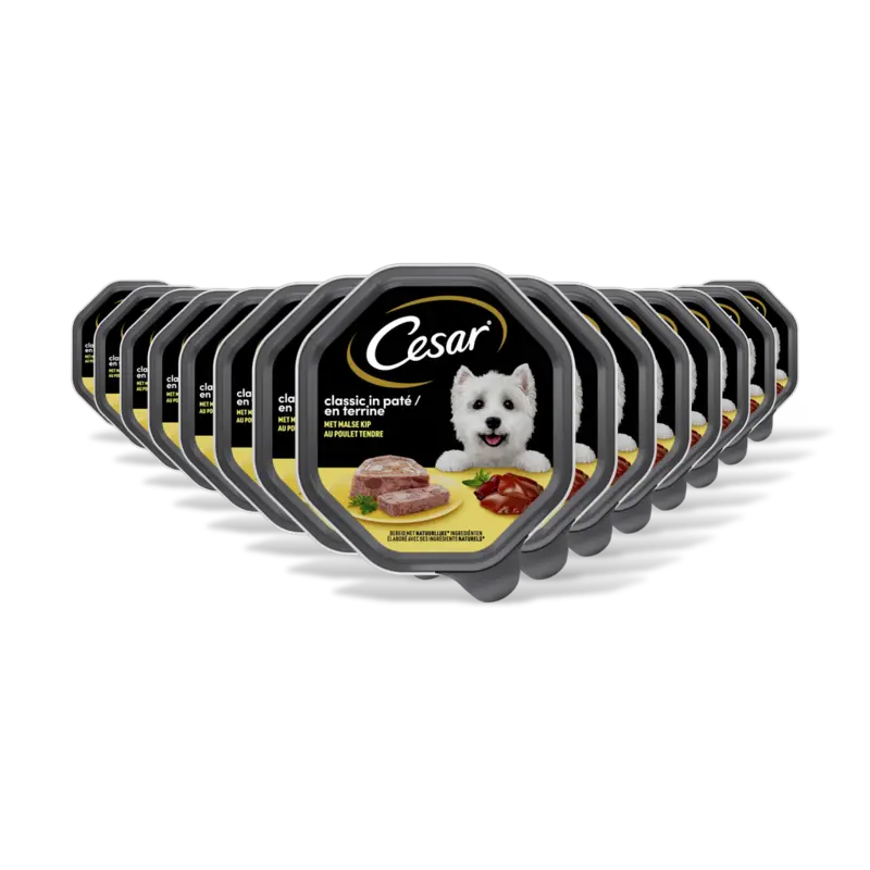 Classic met kip 15-pack