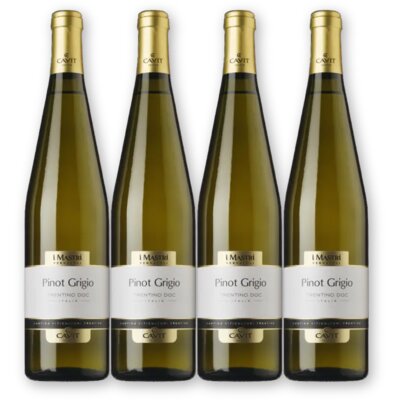 pdp-image-Mastri Vernacoli Pinot G. 4 flessen