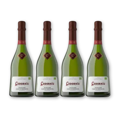pdp-image-Codorníu Selección Brut 4 flessen