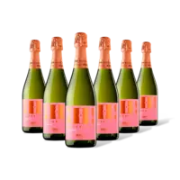 Hola! Barcelona organic rosé cava 6 flessen