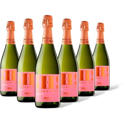 pdp-image-Hola! Barcelona organic rosé cava 6 flessen