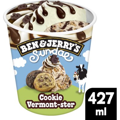 pdp-image-Ben & Jerry's Cookie vermont-ster