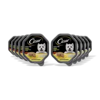 Cesar Senior met malse kip en rijst 10-pack